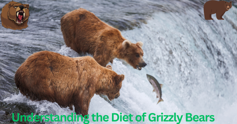 Understanding the Diet of Grizzly Bears